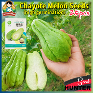 High Yield Fresh Chayote Seeds for Planting Vegetables (Fast Growing 25 Seed) biji benih Labu Siam S