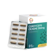 GKB Cordyceps Cicadae 60's (Relieve Tired Eyes)