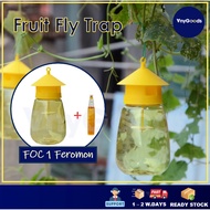 AnyGoods Fruit Fly Trap Pheromone Attractant Bottle / Botol Perangkap Lalat Buah Feromon 果蝇诱捕器引诱剂