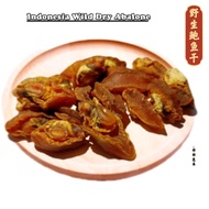 Indonesia Wild Dried Abalone Dried Abalone Wild Dry Abalone Dry Abalone Dried Abalone Congee Afforda