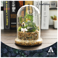 โหลแก้วสวยๆ พร้อมส่งจากไทย Terrarium โหลแก้วฝาครอบ ทำสวนขวด สวนจิ๋ว DIY อุปกรณ์ตกแต่งสวน