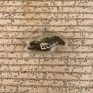 阿贊堆早期人緣鳥