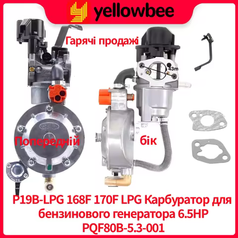 P19B 168FB 170F RQF80B-5.3-001Frequency Conversion LPG Carburetor 3KW 6.5HP Gasolina Generator Dual 