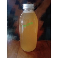 500ml Fizzy Kombucha ORIGANAL Homebrew