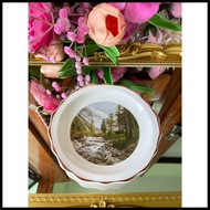 Argyle Bone Trees Nutdish