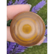 💥Ready Stock💥 36.2mm X 19.7mm 蒙天珠 Meng Tian Zhu Dzi Manik CW2383