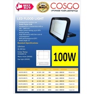 COSGO 100W LED FLOOD LIGHT (3000k/6500k)