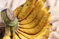 Pisang raja bulu mentah tua per 1 kg