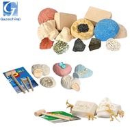 [Gazechimp] Digging Kit Science Fossil Digging DIY Activities Gemstone Rocks Treasures for Boys Girl