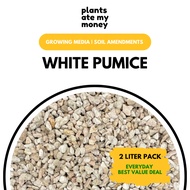 PAMM | White Pumice 2L -  White Lava, Growing Media, Soil Enhancer, Potting Mix Aeration and Drainage [Local Seller]