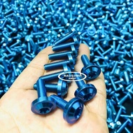 10 con Ốc Titan GR5 Đầu Dù 6li2 Xanh Lục Bảo (Titan 100% )