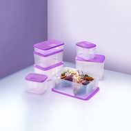 Tupperware Freezermate Essential Set with Gift Box