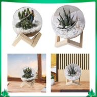 [Isuwaxa] Glass Plant Pot Desktop Storage Creative Plant Pot for Courtyard Yard Indoor
