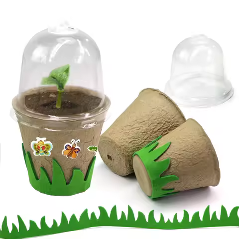14x8 12x6cm Garden Biodegradable Plant Nursery Pots with Clear Cover Greenhouse Seed Starting Seedli