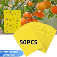 Yellow Blue Pest Sticky Sticker Insects Trap Gardening Plants Flies Lizard Aphids Gnats Whitefly