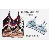 BH Sister Guini code 500 BH Without Foam Without Wire Cup B