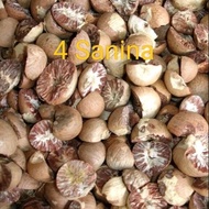 PINANG KERING MEDAN 1/2 KG & 1 KG / PINANG BULAT KERING.