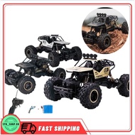 1:16 4WD Rock Crawler RC Car Remote Control Rally Truck Stunt Buggy Kids Toy Kereta Kontrol Mainan