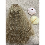 blythe wig+head part RBL wig+blythe Skull Model