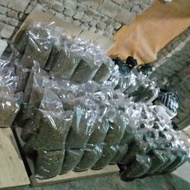 Maggot BSF Kering/Larva BSF Kering 10 kg Pakan Ikan Premium Kualitas A+