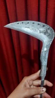 Arit/sabit ledreng rumput baja isen super tajam wonosobo super asahan bisa CoD