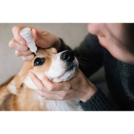 EYE DROPS FOR PETS | Tobramycin+Dexamethasone) Tobrason