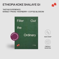 FILTER ROAST / Ethiopia Koke Shalaye G1 200G  咖啡豆 Coffee Bean | 103 COFFEE