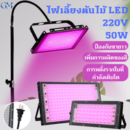 ไฟปลูกต้นไม้ LED 50W full spectrum led grow light 220V ไฟปลูกต้นกันชา ไฟบาร์ปลูกพืช ไฟเลี้ยงต้นไม้ ไฟช่วยต้นไม้ตัวเร็ว