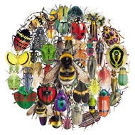 50pcs Funny Insect Biology Clear Stickers For Child Study/Phone/Laptop/Scrapbook/Art Sticker Graffit