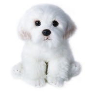 cod1PC Maltese Stuffed Dog Dolls Plush Toy Cute Simulation Pets Fluffy Baby Birthday Gifts Christmas