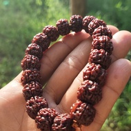 gelang rudraksha jenitri berkualitas