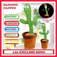 Dancing Cactus with 120 Song / Recording Cactus / Dancing with Light