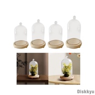 [Diskkyu] Clear Cloche Cover Stand Table Centerpiece for String Lights