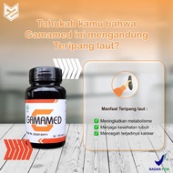 GAMAMED KAPSUL EXTRACT TERIPANG MAS 1 Botol isi 50 kapsul