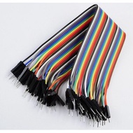 Mm40 20cm Male to Male Header 40 Lines Cable Connector 1P-1P 2.54mm