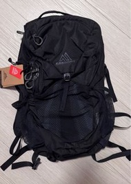 Gregory nano 24 背囊 行山背囊 袋