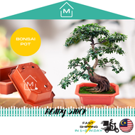 [NO TRAY] Thick Plastic Rectangular Flower Bonsai Succulent Pot Home Deco / Pasu Panjang Merah Bata 砖红色长方形仿陶瓷复古花盆