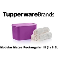 Tupperware Modular Mates Rectangular III (1pc) 6.5L