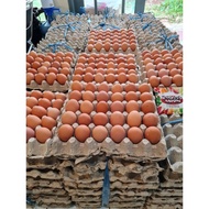 Sya7 HarvestMoon Telur Ayam Negri 1 Peti
