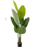 5 Feet Artificial Bird of Paradise, 60 Inch with  Premium UV Resistant Lifelike Fake Plant in Pot wi