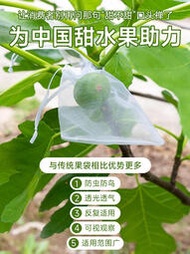 水果套袋防鳥防蟲專用網袋葡萄無花果瓜果枇杷草莓楊桃子保護袋子