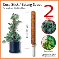 Tiang batang sabut 椰子纤维种植杆 Coco fibre stick pole 2feet ( 61cm )