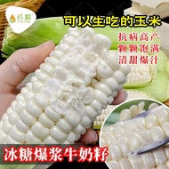 Xuetian 7401 Biji Jagung Susu Berair Micro Jed Biji Jagung Buah Putih Musim Bunga dan Musim Gugur Bi