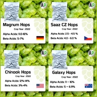 Hops Plalit Beer Making​ Fermentation T-90 [Crop Year 2022] Citra/Cascade/Galaxy/Mosaic /Chinook/Ama