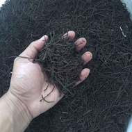 Akar Pakis Cacah Media Tanam Kering Kemasan Karung 10kg Murah