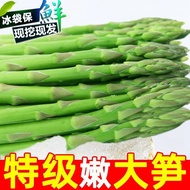 Fresh Asparagus Green Asparagus Fresh Tender White Asparagus Freshly Dig White Root Green Bamboo Sho