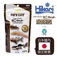 小郭水族-高夠力Hikari【小型底棲肉食魚專用飼料75g】鴨嘴 異型 恐龍 肉食飼料 鼠魚 異型 飼料