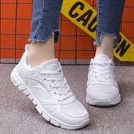 My shape stor new arrival women shoes flat heel shoes popular novelty women shoes 11.3v