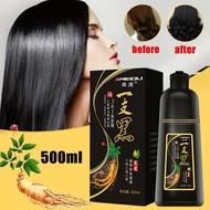 √ReadyStock√ 500ml Fast Black Hair Shampoo Natural Ginger Hair Color Hair Dye Coloring for Men Women