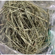 ALFALFA HAY 100G FOR PETS RABBIT GUINEA PIG CHINCHILLA FOOD / RUMPUT ARNAB
